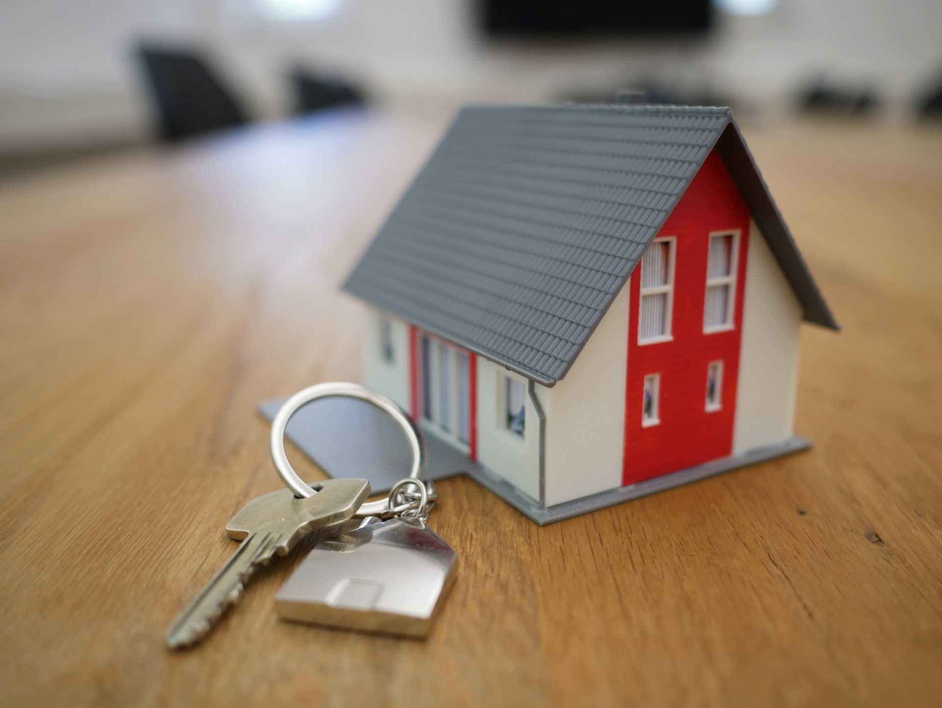 picture of a 3-D printed miniature figure of a house next to a key on a keyring
